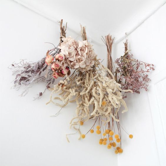 62b0cf0c9bfbd7fb168abda51fa97646